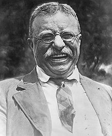 220px-Theodore_Roosevelt_laughing